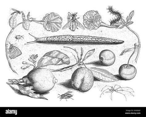 Print from a series of 48 prints, divided into four separate parts of ...