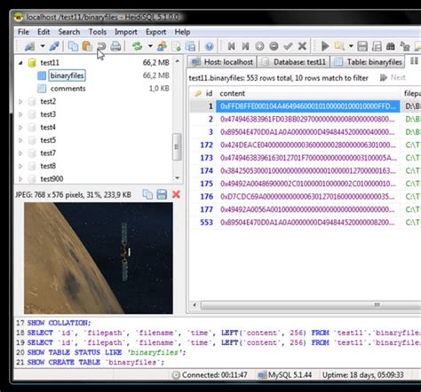 Image result for HeidiSQL for Windows 10