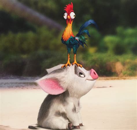 The meaning of heihei here s what moana s chicken is really all about ...