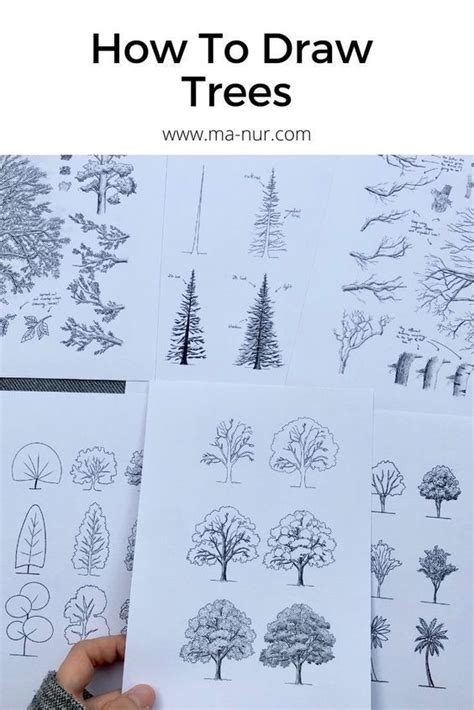 Tree Drawing Tutorial 的图像结果