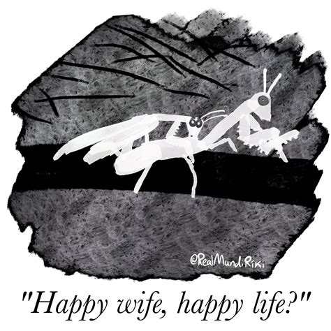 Pray tell, praying mantis : r/justcomics