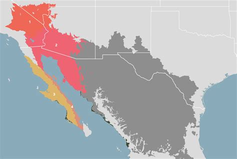 Sonoran Desert On World Map
