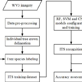 CNN Algorithm Flowchart 的图像结果