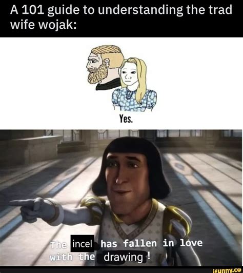 A 101 guide to understanding the trad wife wojak: incel has fallen in ...