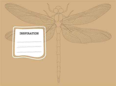 Hard Cover Pocket Notebook - Dragon Fly – Paper Design Co