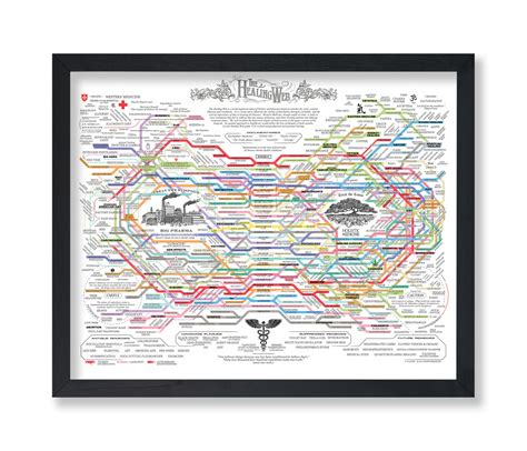 Amazon.com - Poster Master The Healing Web Poster - Health Diagram ...