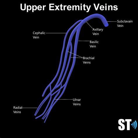 Upper Extremity Venous Doppler – Sonographic Tendencies Ultrasound ...