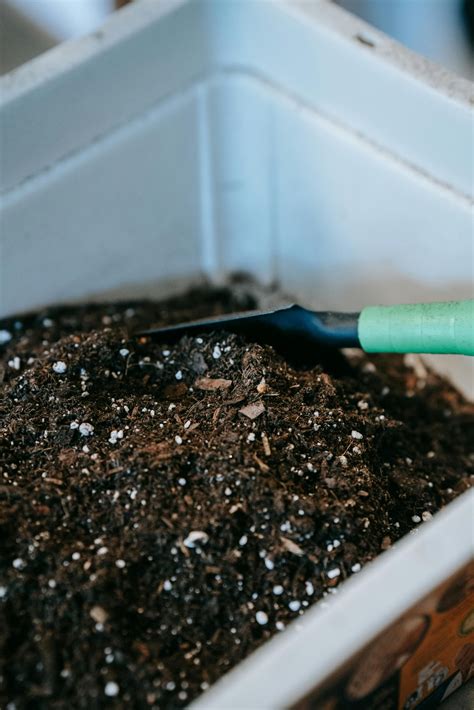 How To Compost Coffee Grounds and Ways to Use in Your Garden - MAY ...