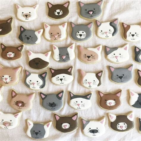 Image result for Cat Chasing Cookies