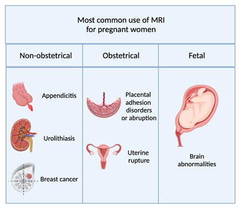 Mri And Pregnant