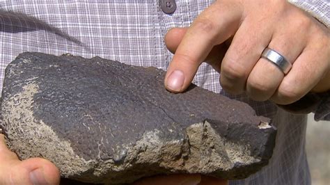 Image result for Fossil Formation