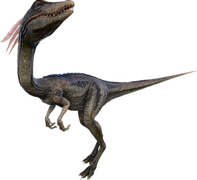 Compy Comp 的图像结果