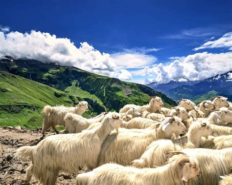 A cursory look at some of the best places to visit in India | KAYAK