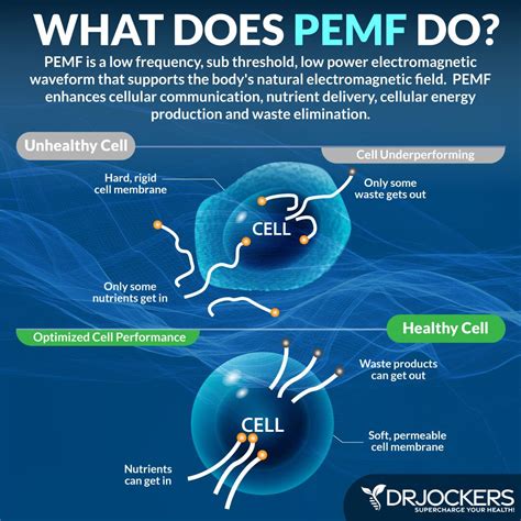Pulsed Electromagnetic Therapy (PEMF) Benefits and How to Do It | Pemf ...