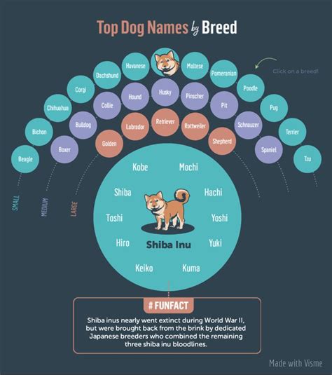 Image result for Most Common Dog Names
