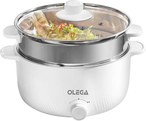 Amazon.com: OLEGA Electric Hot Pot - 3L Portable Electric Pots with ...
