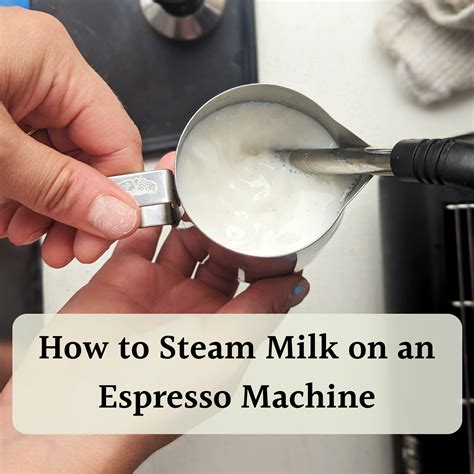 How To Steam Milk On An Espresso Machine: A Complete Guide From A Barista