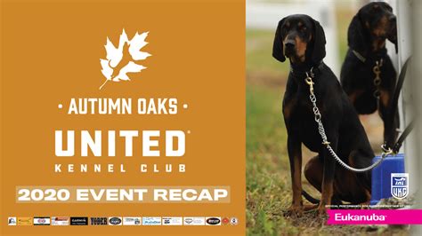 UKC Coonhounds - The event where history is made! Check out the 2020 ...