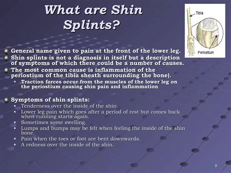 The lower leg and ankle f09 | PPT