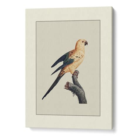Eclectic Gallery Wall Art Set | Curated Prints for Home Styling – Nook ...