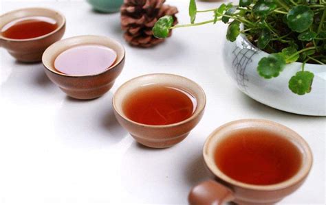 药茶康养-山西药茶网-茶的味道，药的功效