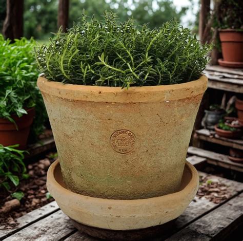 Kew Garden Rustic Antique Red Aged Terracotta Large Plant Pot with ...