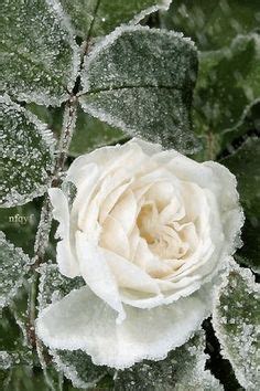 Image result for Snowfall Minecraft