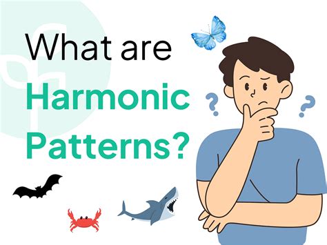 Image result for Harmonic Patterns Tutorial