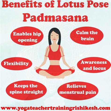 Benefits Of The Lotus Pose at Marylynn Boucher blog