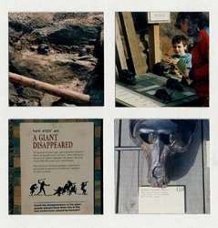 ZooLex Exhibit - Baboon Reserve