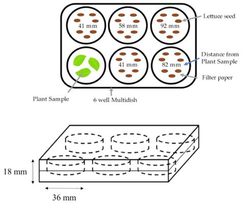 Evaluation of Allelopathic Activity Interactions of Some Medicinal ...