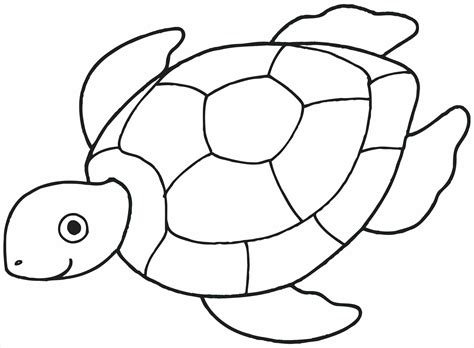 Image result for Turtle Shell Coloring