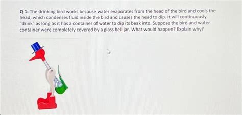 Image result for Bird Exploding Drinking Elcsta Water