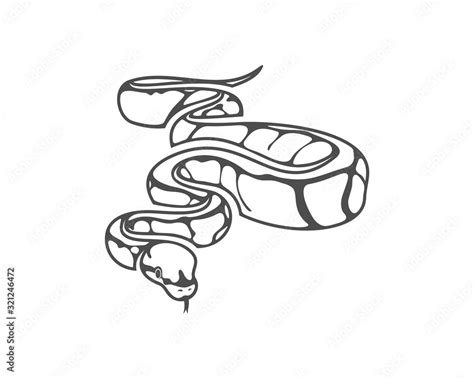 Image result for Python Snake Programming Logo