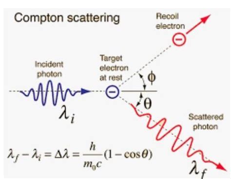 Which property does the Compton Effect describe about photons - Brainly.in