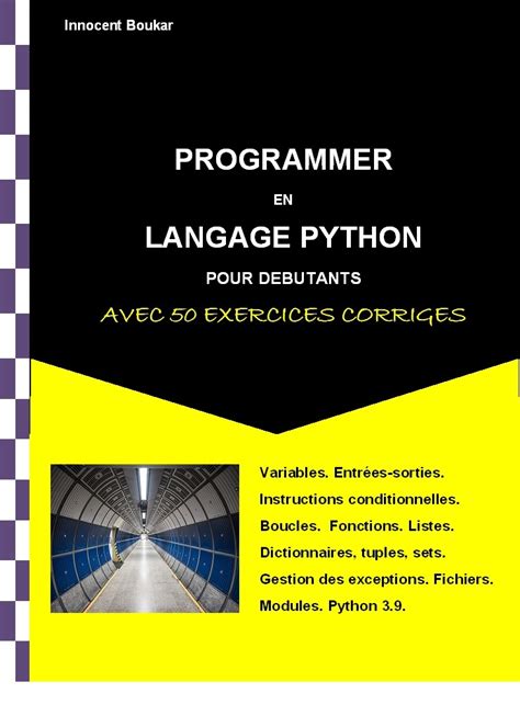 Image result for Programmer En Python Debutant