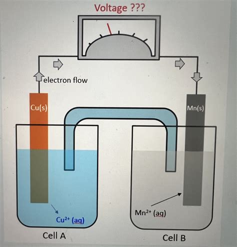 Solved Examine the galvanic cell diagram below and complete | Chegg.com