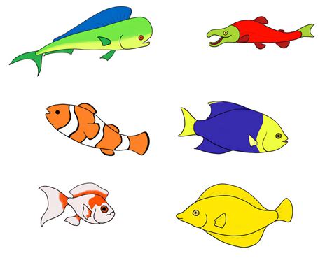 Image result for Random Fish in a Graph