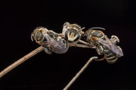 Example of Natural Science 的图像结果