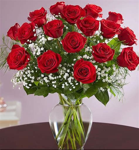 Two Dozen Red Roses with Baby Breath by The Rose of Sharon