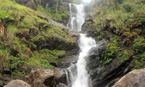 3 Day Trip from Bangalore | Beautiful Wayanad| Price calculator
