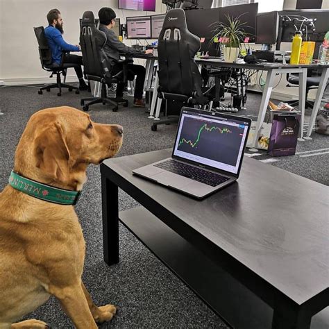 Image result for Trading View Like App