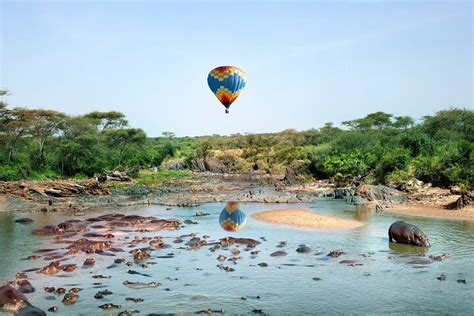 POLLANT TRAVELS AND EXPEDITIONS (2026) All You Need to Know BEFORE You ...