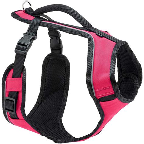 The Six Different Types of Dog Harnesses | The Family Handyman