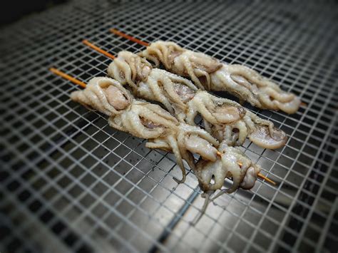 Image result for Stick Octopus