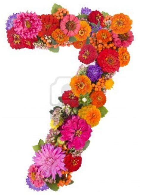 floral number 7