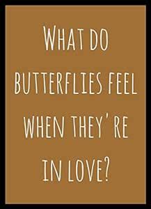 Shoping Inc What do butterflies feen when they are in love Quote ...
