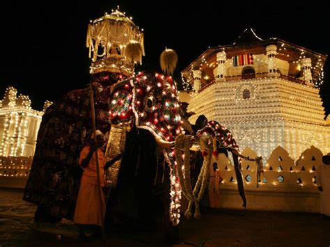 Culture in Sri Lanka 的图像结果