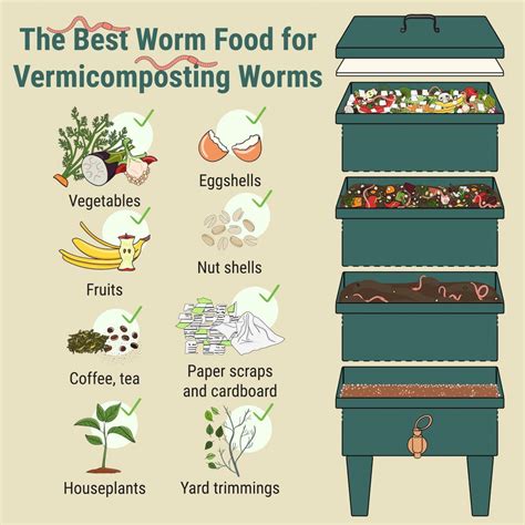 What Do Worms Eat, Everything You Need To Know - The Eco Hub