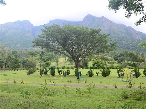 Mithun Group Of Hotels